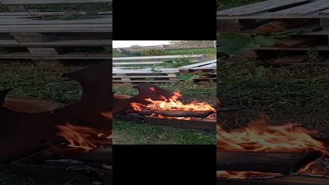 1000002036.mp4