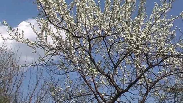 Вы добьетесь многого, если...