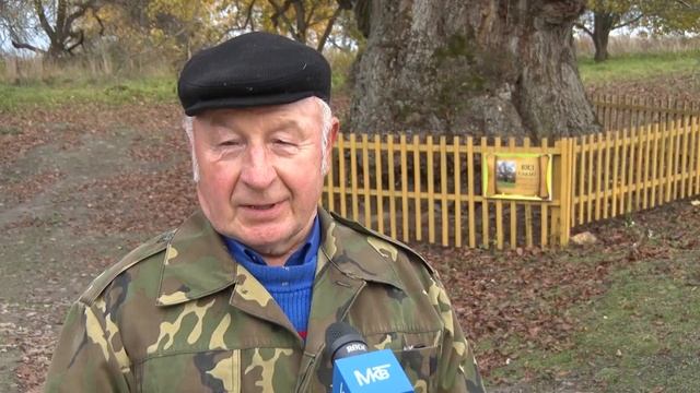 Иди и смотри - Самый старый вяз в Беларуси