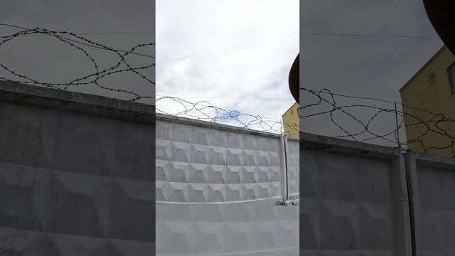 Рискнули бы на такой спор?