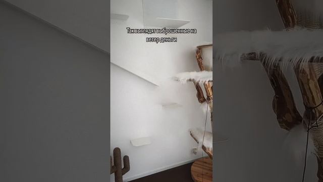 Жизненно…