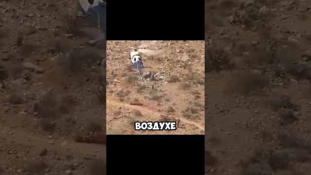 А хотели помочь...