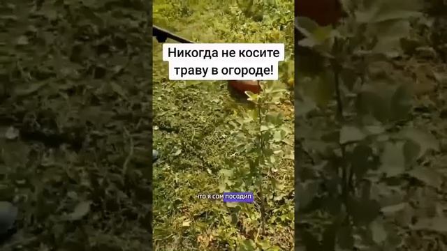 А вы знали об этом?