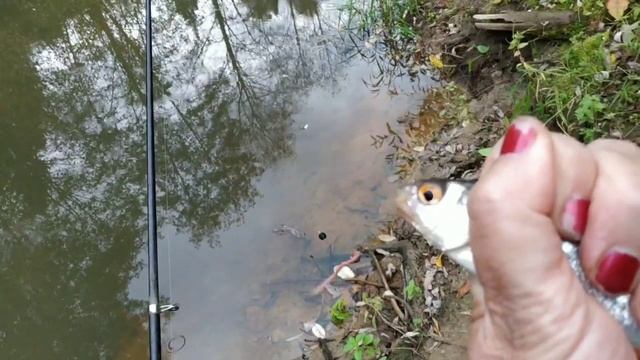 Последняя рыбалка Бабьим летом.