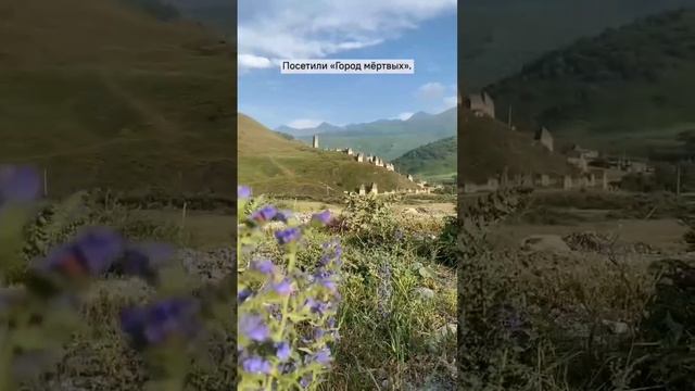 1000808103.mp4