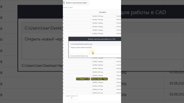 Как правильно вставить фото в чертеж Автокада ? #геодезия
