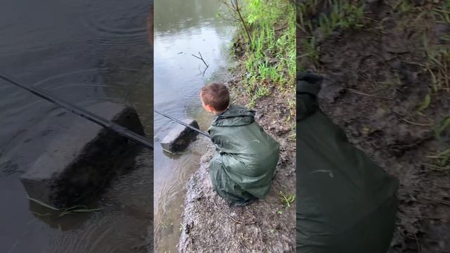 Чебак пищит!!! #рыбалка #fishing #рыба