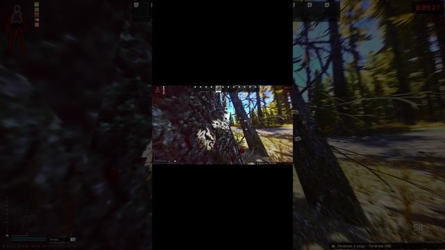 Они напали на тигра_Escape from Tarkov