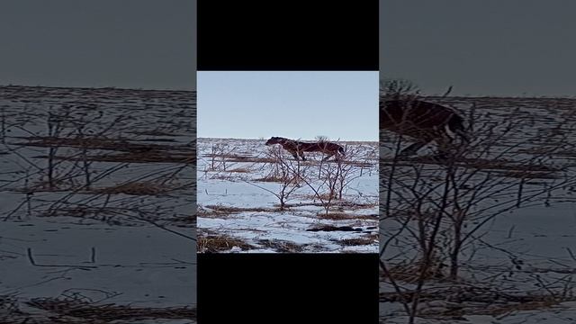 1000071446.mp4