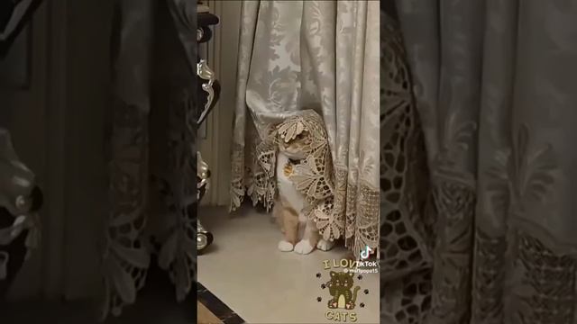 Будьте здоровы и счастливы