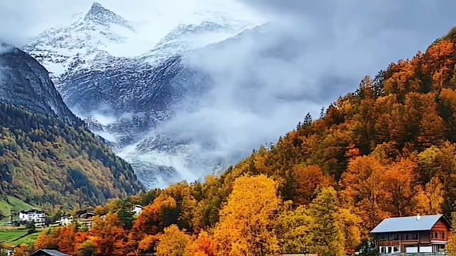 Красота природы #природа #дружба