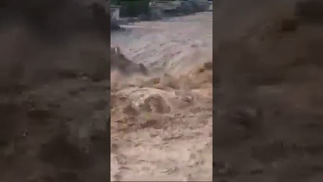 сели калон