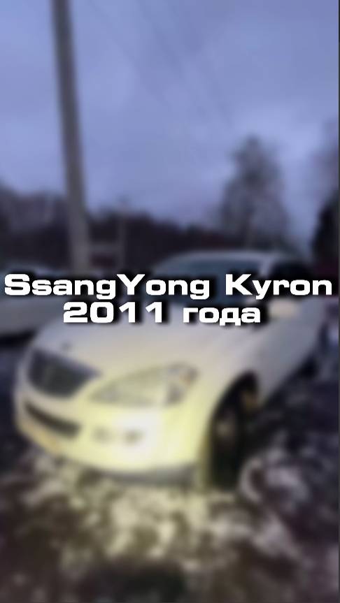Проверили для клиента вот такой SsagYong Kyron