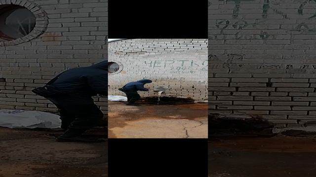 VID_20241118_120553.mp4