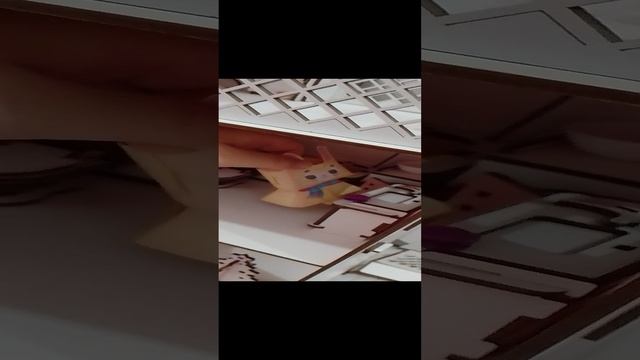 VID_20241120_152117.mp4