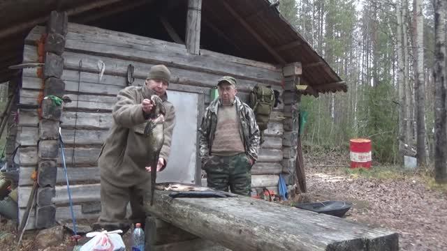 Поход с на избу с ночевками. Рыбалка на жерлицы (самоловки) Капканы на куницу.