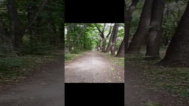 Где-то в России