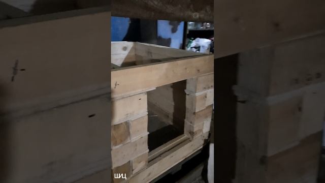 Реновация собачей конуры
