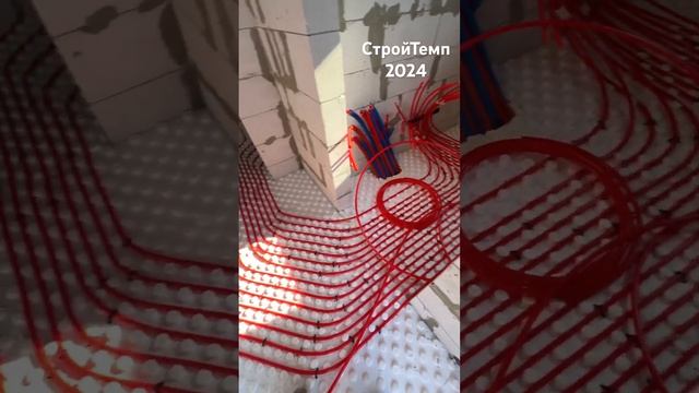 26 августа 2024 г.