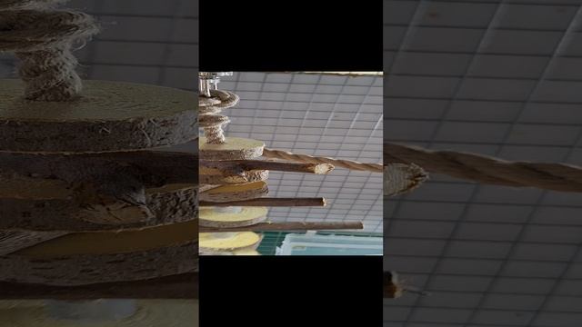 игрушки для попугая