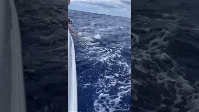 Маврикий. Mauritius. 毛里求斯。