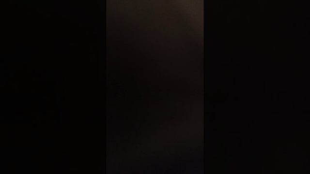 VID-20241118-WA0000.mp4