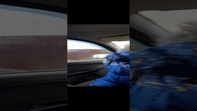Андрей рулит ноябрь 2024