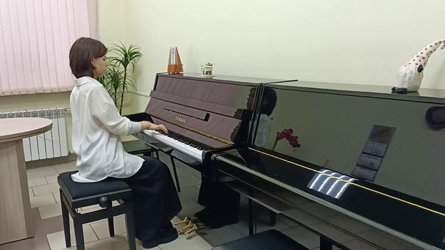 VID20241119123949.mp4