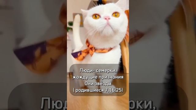 ЛЮДИ СЕМЕРКИ ЗВЕЗДЫ