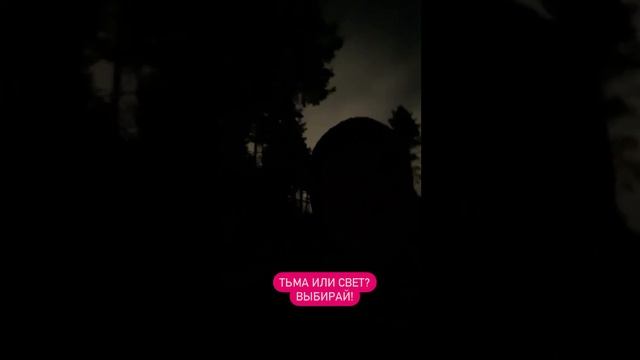 Выберешь Жизнь?