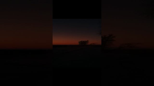 1007099594.mp4