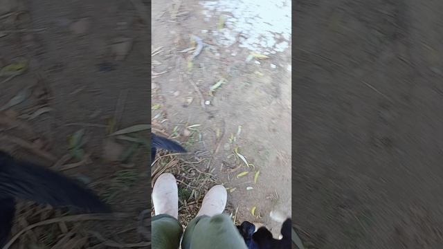 1000046350.mp4