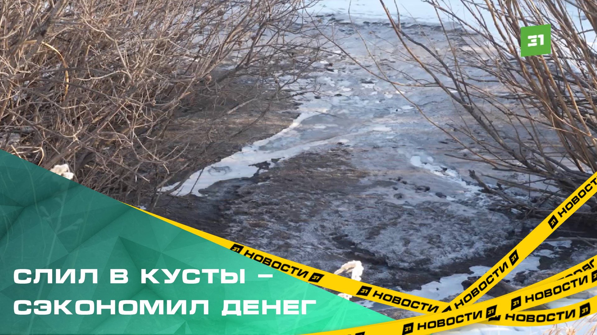 Садоводы в Красноармейском районе жалуются на недобросовестных ассенизаторов