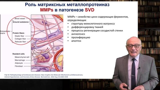 Болезнь мелких сосудов