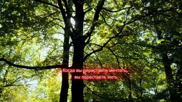 Когда вы перестаёте мечтать