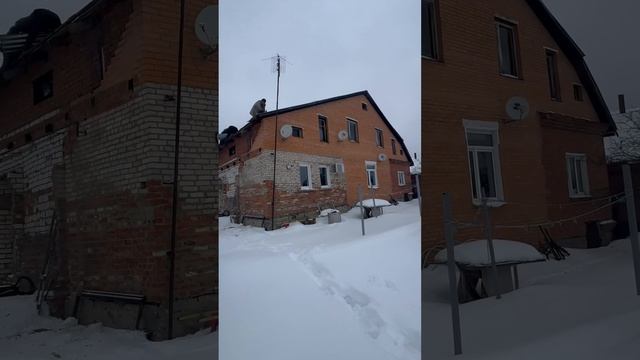 14 февраля 2024 г.
