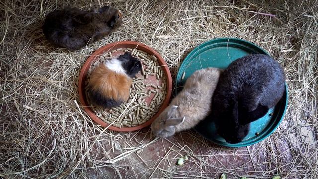 12612584_3840_2160_25fps