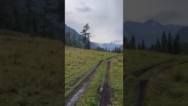 Видео от участницы Алтайского ретрита. Алтай её глазами❤️