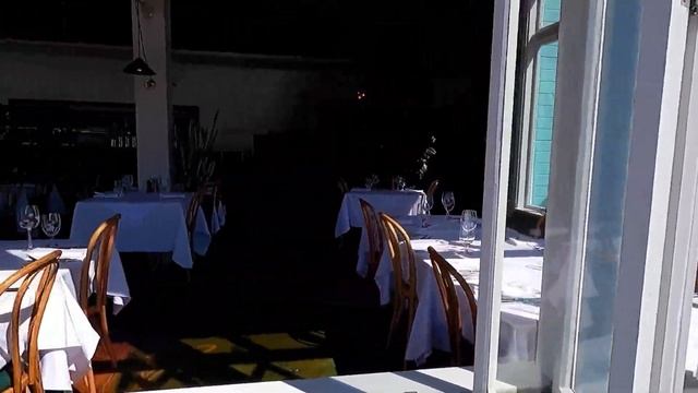 Mad Dash around Wellington CBD | Absolute Head-Spinning Adventure! Part1