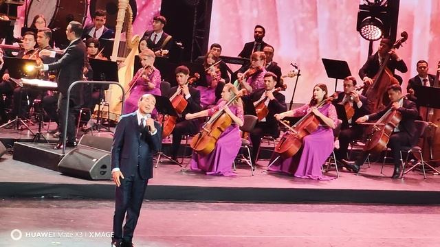 VID_20241119_203023.mp4