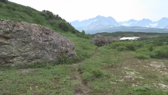 Медвежья маркеровочная тропа.
