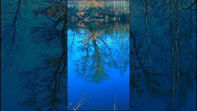 шорт видео  14.11.2024