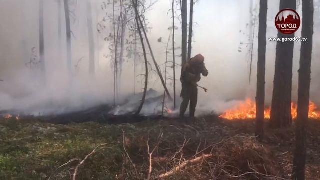 ПРОГНОЗ ЛЕСНЫХ ПОЖАРОВ