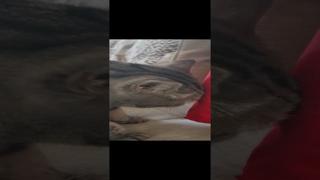 20-11-2024