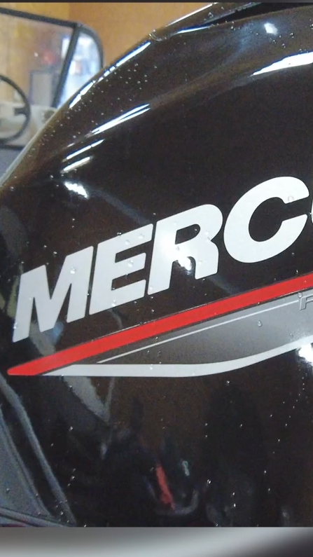 Навеска Mercury 60