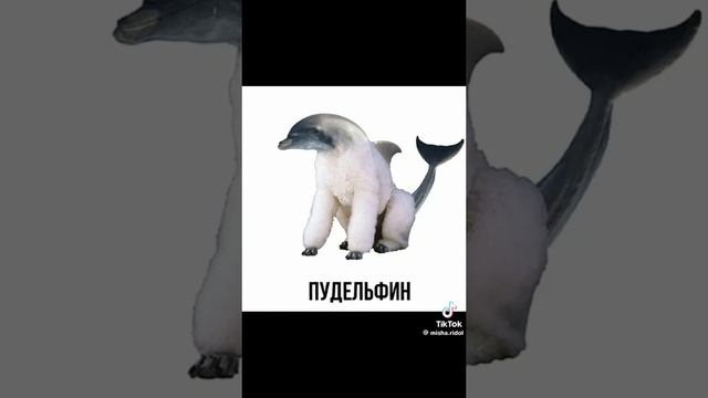 супер смешно