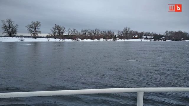 Пошли в ледовый круиз на Новогодних праздниках!