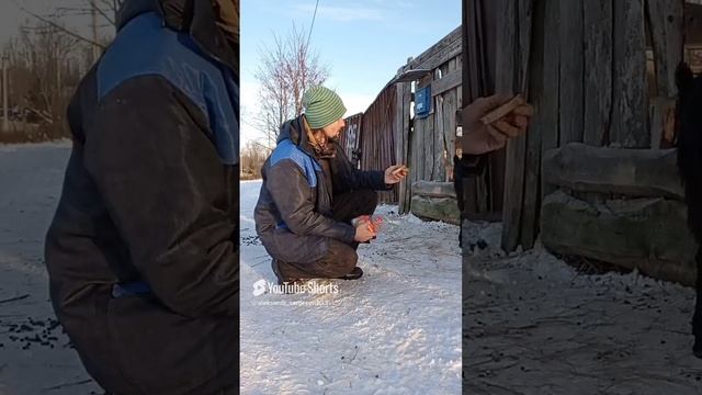 Батон из Пятёрочки