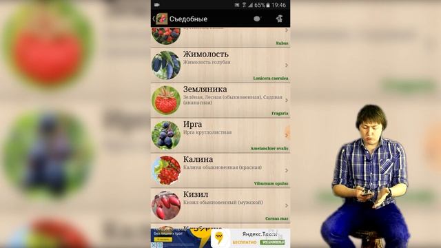 Геодезические и окологеодезические приложения на Android/IOS