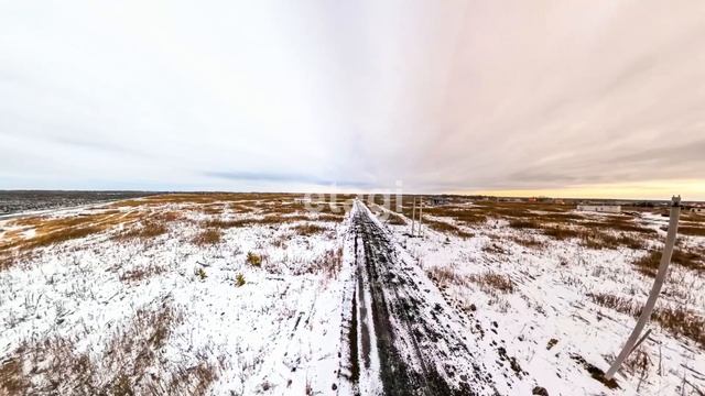 3843826